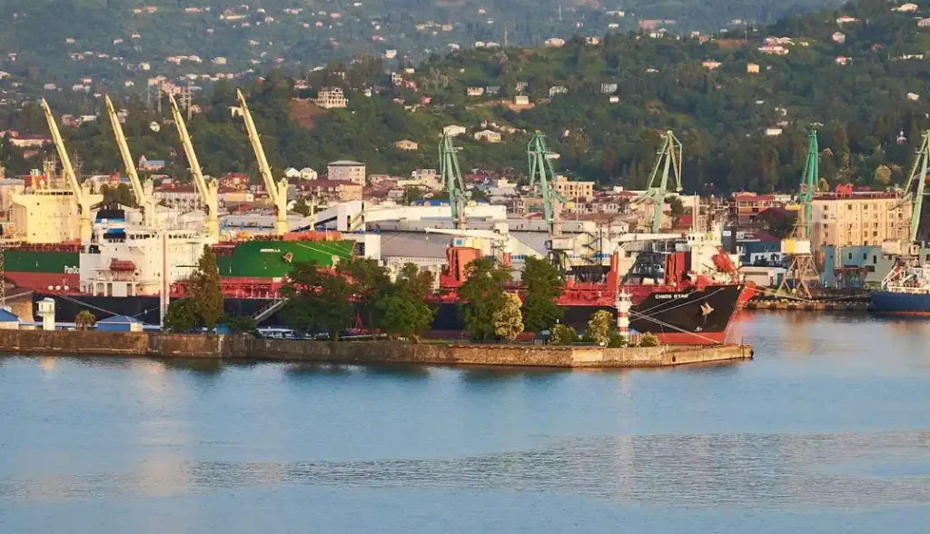 How to Import Used Cars from Korea to the Port of Poti, Georgia (2026 Guide)